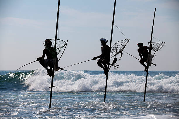 istock stilt fishing sri lanka 186857464