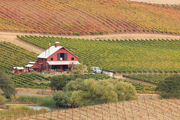 california vineyard - california napa valley vineyard farmhouse stock-fotos und bilder