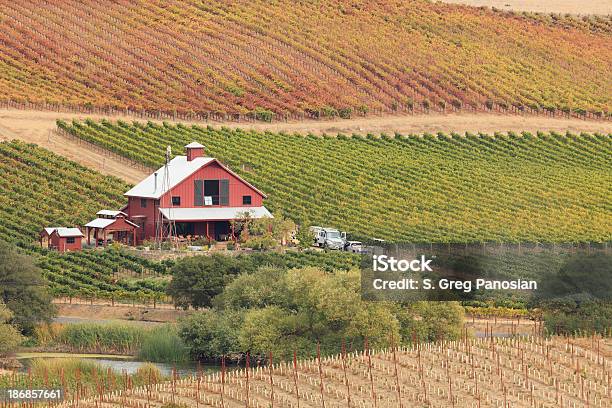 Viñedos De California Foto de stock y más banco de imágenes de California - California, Valle de Napa, Casa rural