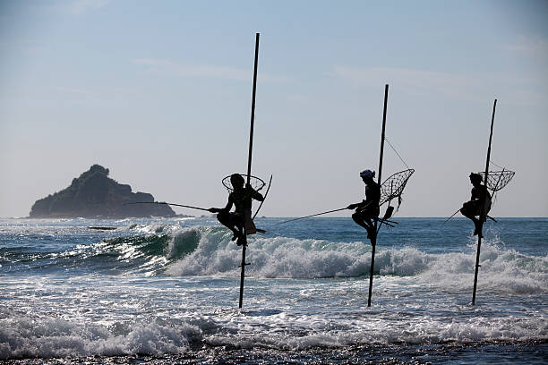istock stilt fishing sri lanka 186857906