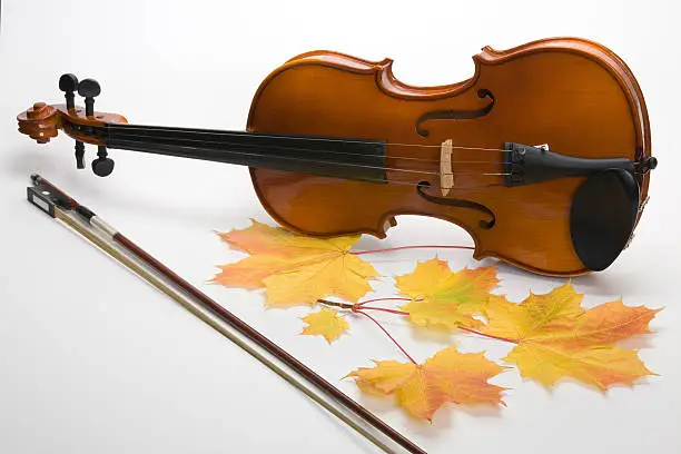 Photo of Violin