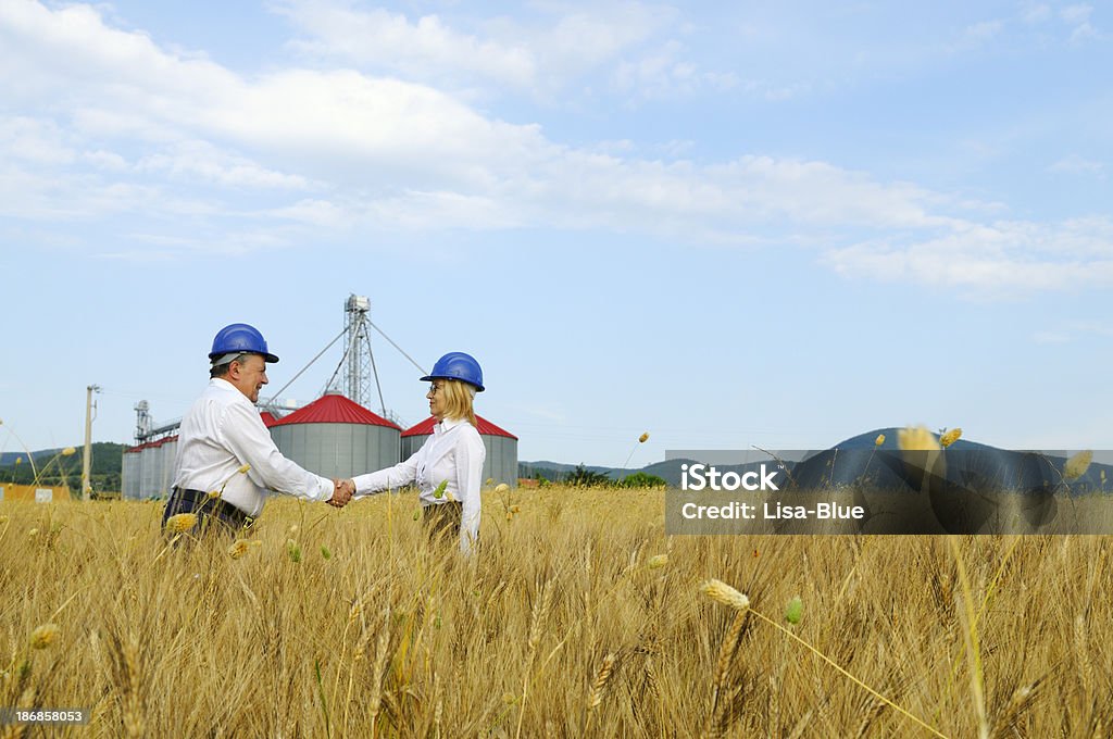 Dos ingenieros en un campo de trigo regulación de intercambio - Foto de stock de 30-39 años libre de derechos