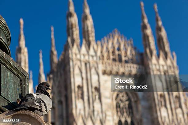 ぼやけたミラノドゥオモpigeon の前景 - イタリアのストックフォトや画像を多数ご用意 - イタリア, イタリア文化, カラー画像