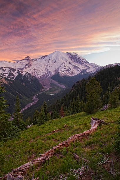 istock Mt Rainier and Emmons Glacier from Sunrise 186858436