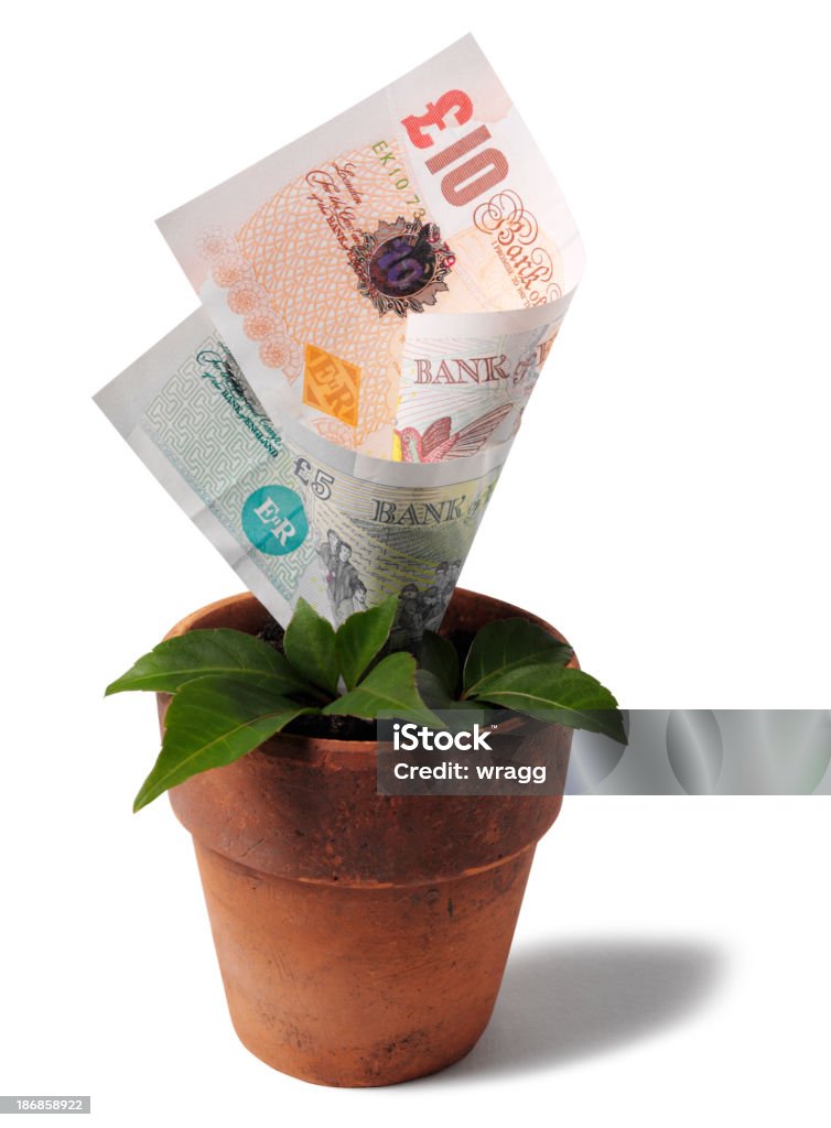 成長中の英国の通貨で、テラコッタの植物ポット - イギリス通貨のロイヤリティフリーストックフォト