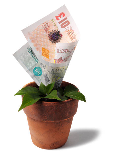 istock Growing British Currency in a Terracotta Plant Pot 186858922