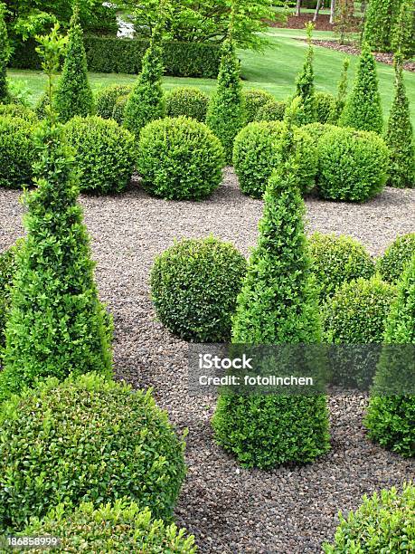 Buxus Bälle Für Den Verkauf Stockfoto und mehr Bilder von Baum - Baum, Buchsbaum, Dekoration