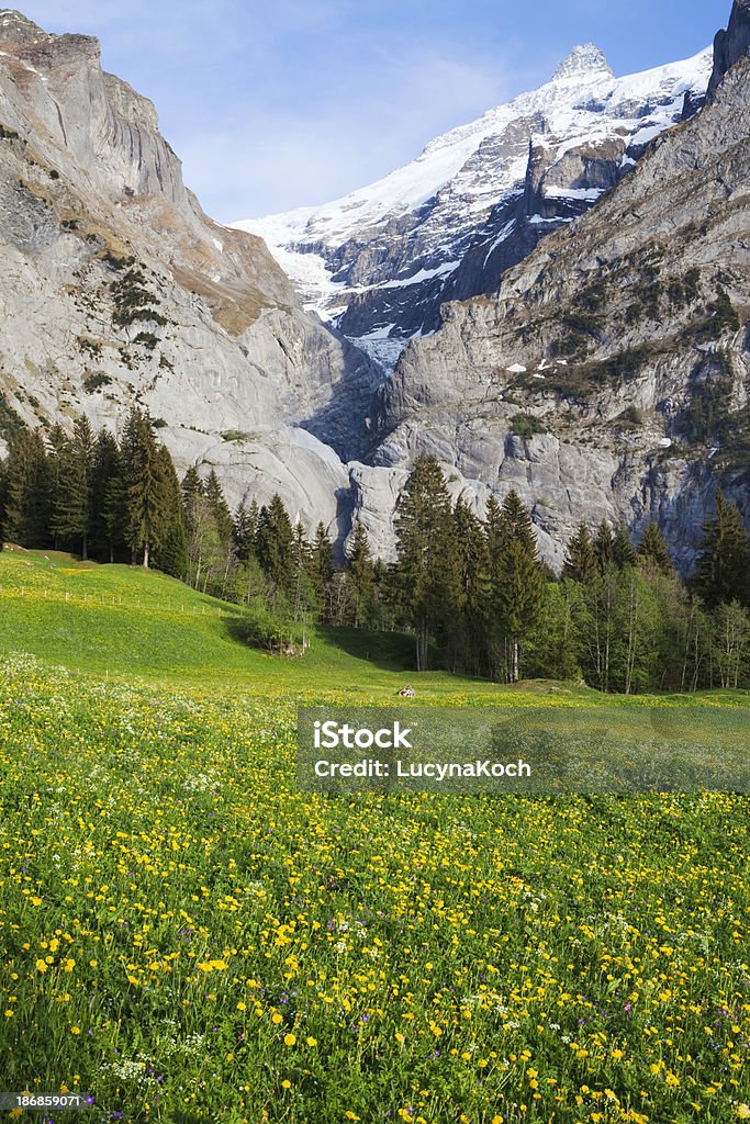 Frühling in den Bergen - Lizenzfrei Alpen Stock-Foto