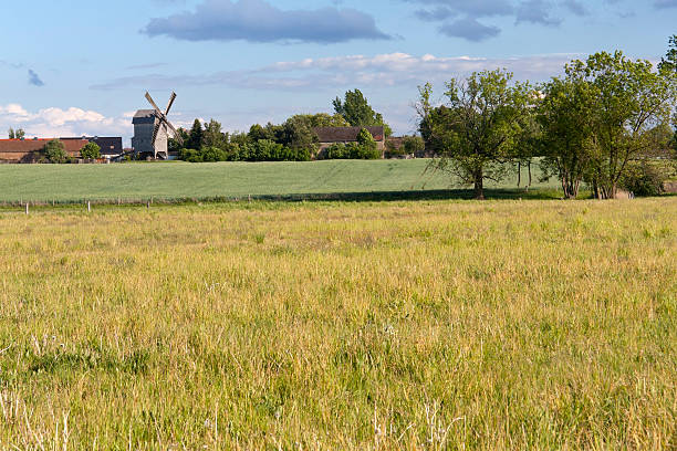 istock Summer Landscape in the Havelland (Germany) 186859369