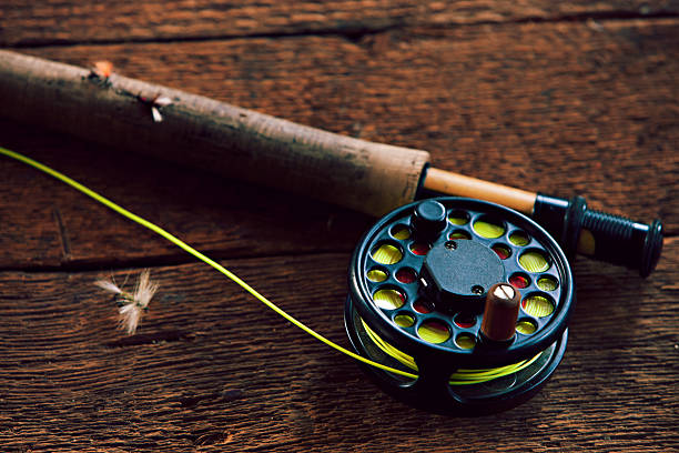 3,400+ Fishing Reel Parts Stock Photos, Pictures & Royalty-Free
