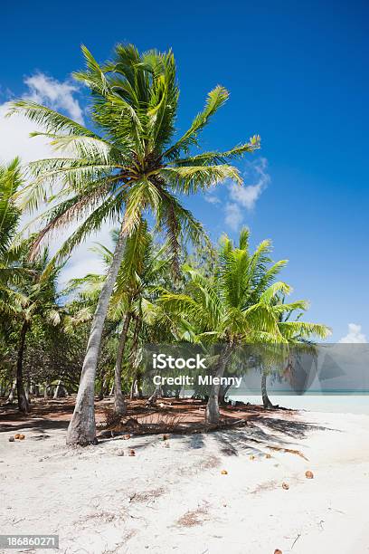 Boraborawhite Traum Strand Sommer Urlaub Kokospalmen Stockfoto und mehr Bilder von Bora Bora-Atoll