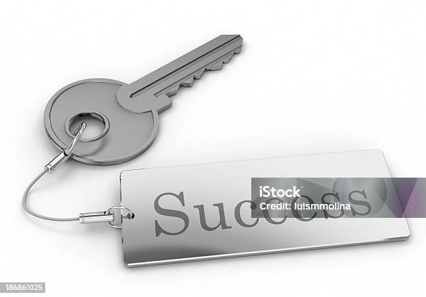 성공 열쇠 자물쇠 열기에 대한 스톡 사진 및 기타 이미지 - 자물쇠 열기, 포부, 성공