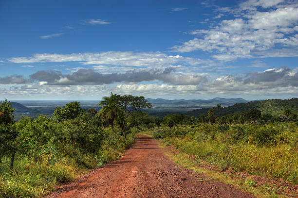 istock Pantanal wetlands, Brazil 186861413