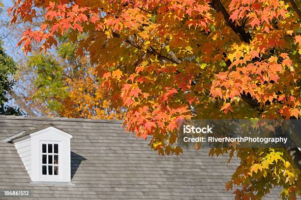 Autunno Farm House - Fotografie stock e altre immagini di Acero - Acero, Agricoltura, Albero