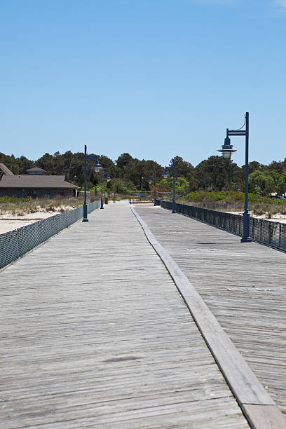istock Henlopen Fishing Pier 186861600