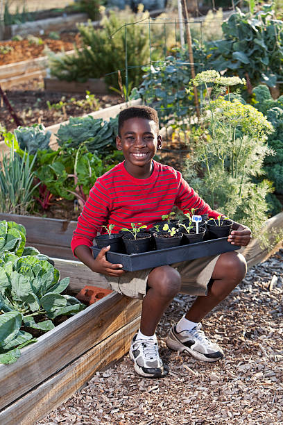istock Boy in garden with seedlings 186861911