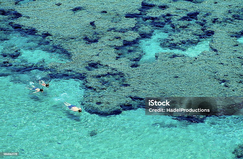 Schnorcheln in der Hanauma Bay, Oahu, Hawaii - Lizenzfrei Hawaii - Inselgruppe Stock-Foto