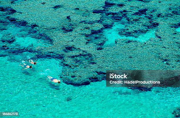 Schnorcheln In Der Hanauma Bay Oahu Hawaii Stockfoto und mehr Bilder von Hawaii - Inselgruppe - Hawaii - Inselgruppe, Schnorchel, Schnorcheln