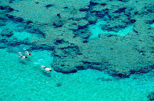 istock Snorkeling at Hanauma Bay, Oahu, Hawaii 186862178