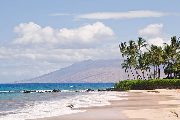 Vintage film photograph the beach a ocean through lush greenery on the tropical island of Maui, Hawaii.