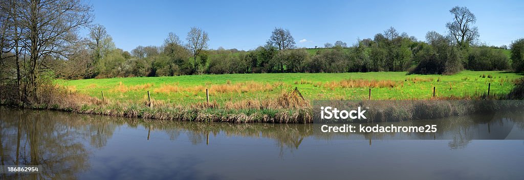 river - Lizenzfrei Baum Stock-Foto