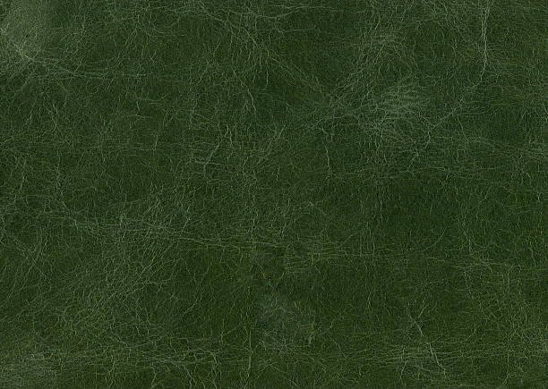 en cuir vert. - leather green hide textured effect photos et images de collection