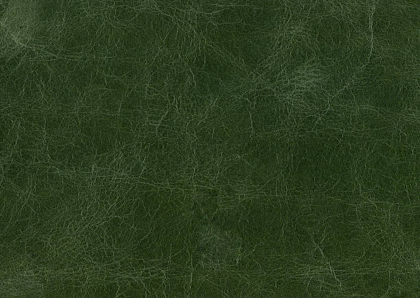 Green leather. High resolution green leather texture. animal skin stock pictures, royalty-free photos & images