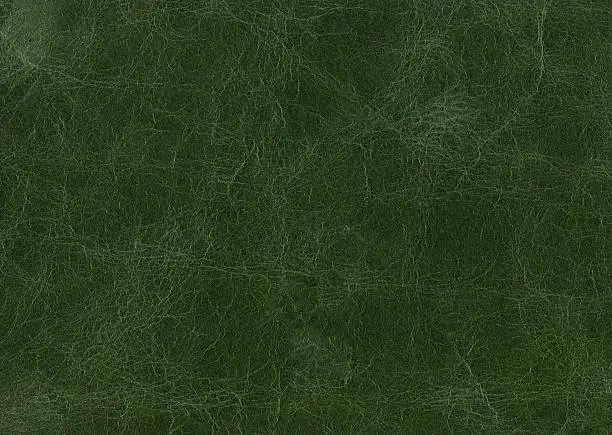 High resolution green leather texture.