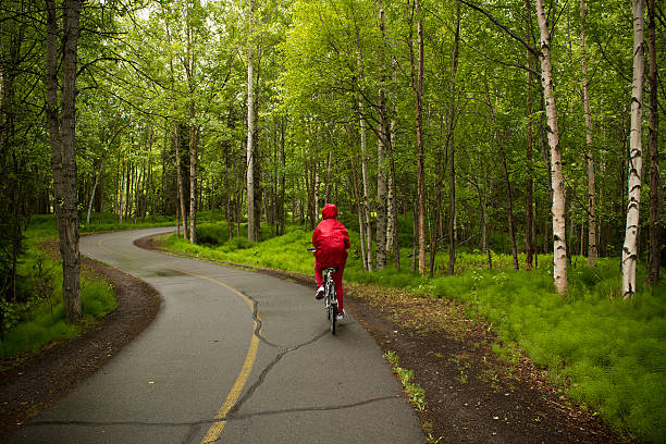 Biker in the woods. Girl ride bike in the forest road. anchorage alaska photos stock pictures, royalty-free photos & images