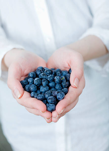 istock Hands full of blueberries 186863278