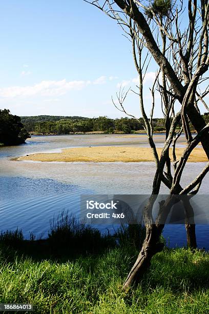 Australian Billabong - Fotografias de stock e mais imagens de Ao Ar Livre - Ao Ar Livre, Arbusto, Austrália