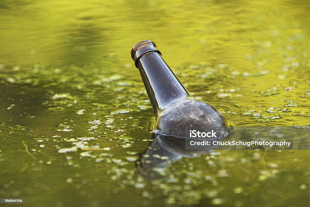 ブラウンビール瓶に浮かぶグリーン、Swamp ウォーター - ガラスのロイヤリティフリーストックフォト