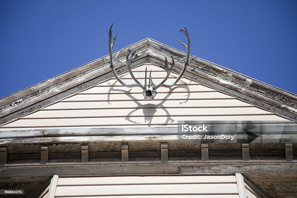Deer Antlers on Building A San Francisco Victorian home in the Haight district is adorned with deer antlers. 2000 Stock Photo