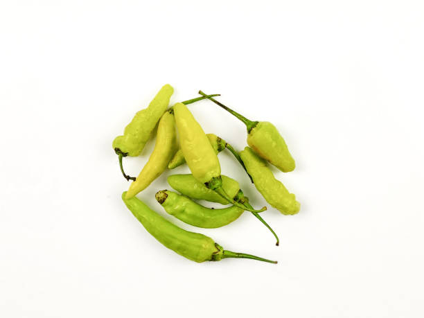 Isolated green chili pepper on white background, vibrant and flavorful