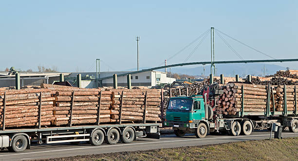 istock Logging Trucks in saw mill 186864645