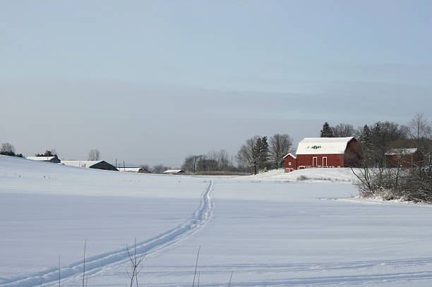 istock Red barn in winter, with Snowmobile Track 186864802