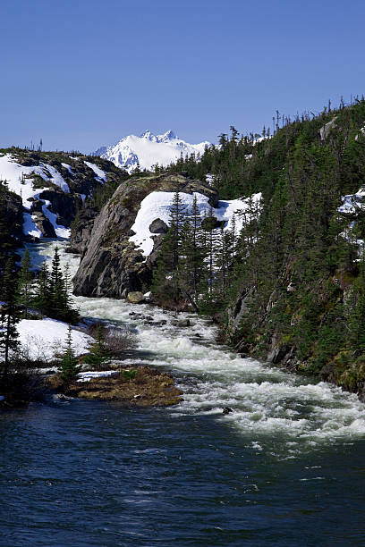 istock Snow Fed Mountain Stream in Alaska 186865063