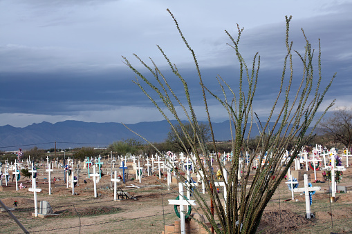 Simple crosses are used in an Arizona Native American graveyard. The mountains are in the background and an Ocotilla Cactus is in the foreground. Clouds are moving in for a late afternoon storm.