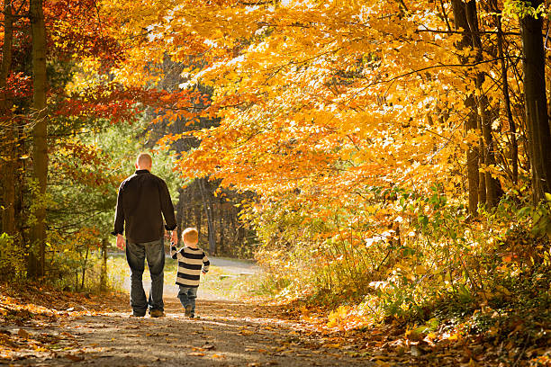 istock Father and Little Son Walking Outdoors in Autumn Woods 186866190