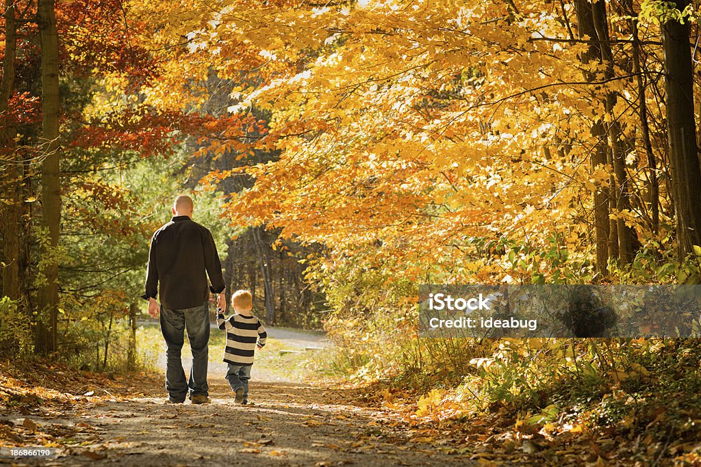 Father and Little Son Walking Outdoors in Autumn Woods Color image of a dad and his little boy walking through colorful woods on a fall day. Includes copy space. Walking Stock Photo