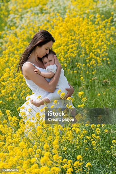 Mãe Segurando Bebê Menina No Campo De Flores - Fotografias de stock e mais imagens de Abraçar - Abraçar, Adulto, Adulto de idade mediana