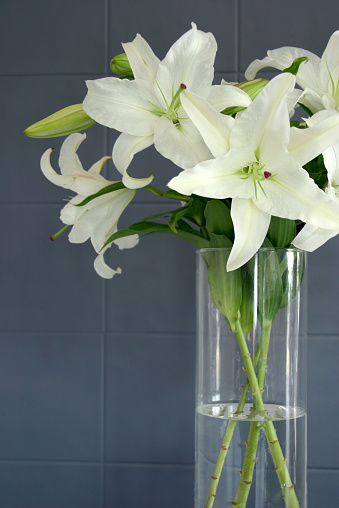 white oriental lily stems in a glass vase infront of dark grey tiles