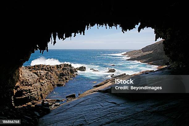 Admirals Arch Y Juntas De Piel Foto de stock y más banco de imágenes de Parque Nacional de Flinder's Chase - Parque Nacional de Flinder's Chase, Aislado, Animales salvajes