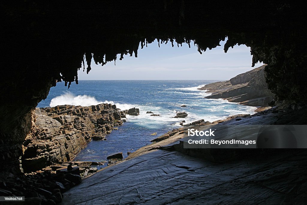 O Admirals Arch e Focas - Foto de stock de Parque Nacional Flinder's Chase royalty-free