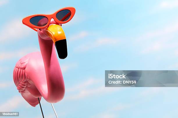 Foto de Flamingo Rosa Vestindo Óculos De Sol Laranja Grande e mais fotos de stock de Flamingo de Plástico