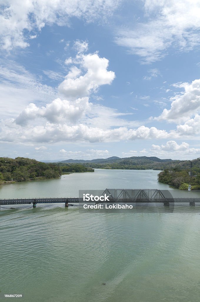 Alla scoperta delle scimmie di Gamboa di attraversare il ponte sul fiume di Chagres - Foto stock royalty-free di Canale di Panamá