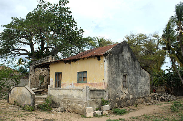 istock Old Portuguese house and babobab tree on Ibo island 186867678