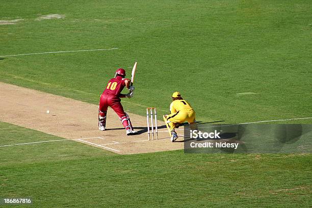 A Batter Up To Bat In A Cricket Game Stock Photo - Download Image Now - Sport of Cricket, Australia, Sport