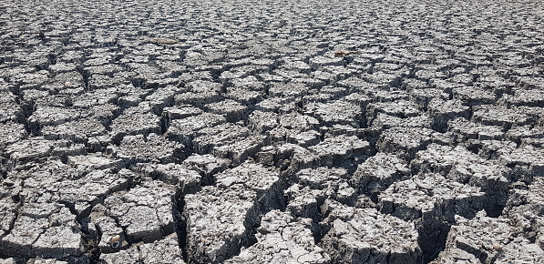 This is a photo of arid and dry land due to a prolonged absence of rain.