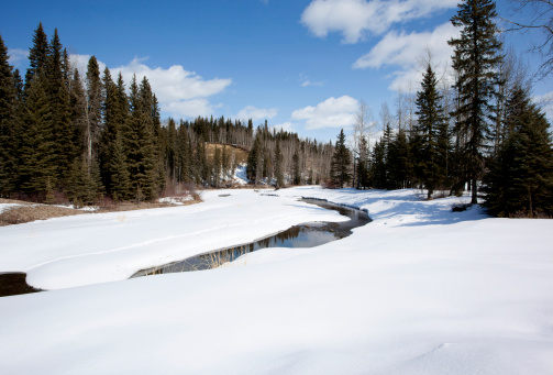 The Tay River in the foothills of Alberta Canada in winter.